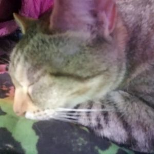 Meet your Posher, Darlene